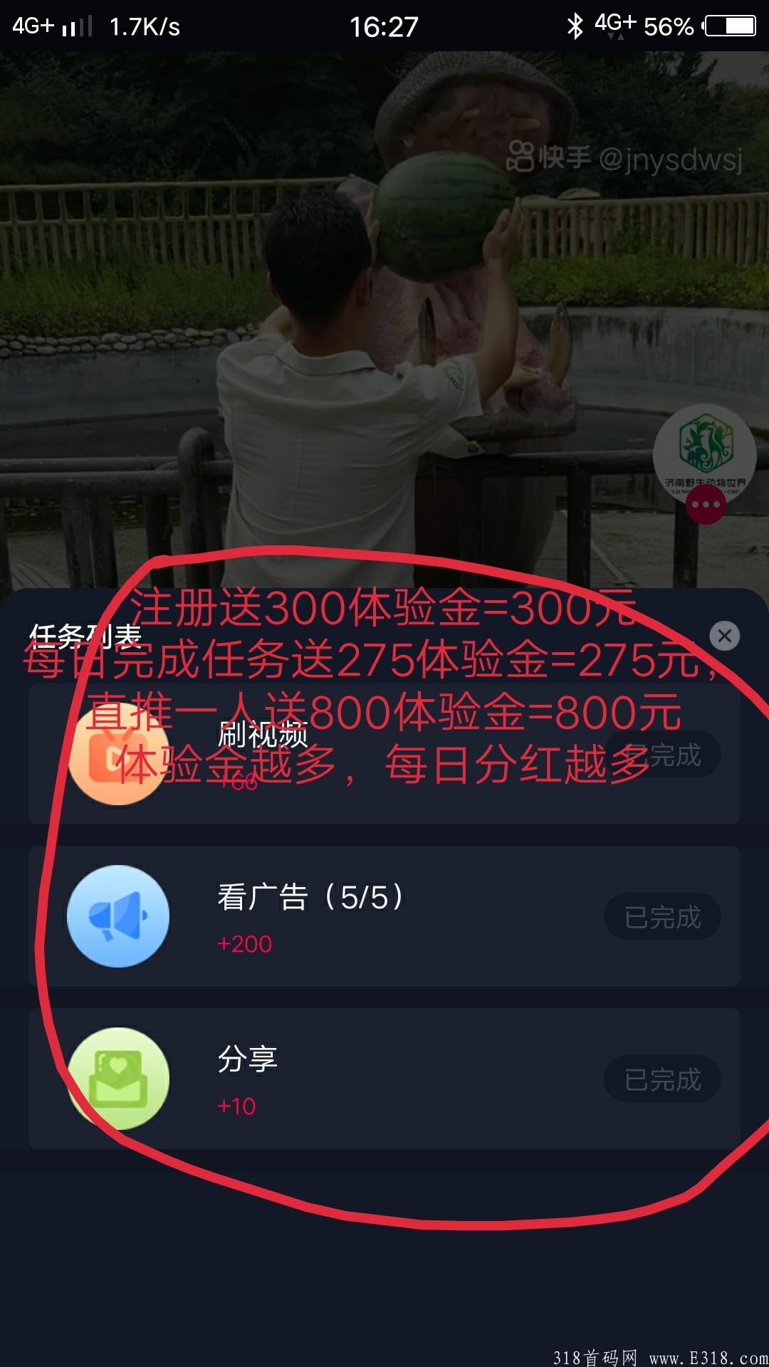 首码，注册送300体验，每日**，全程零投资
