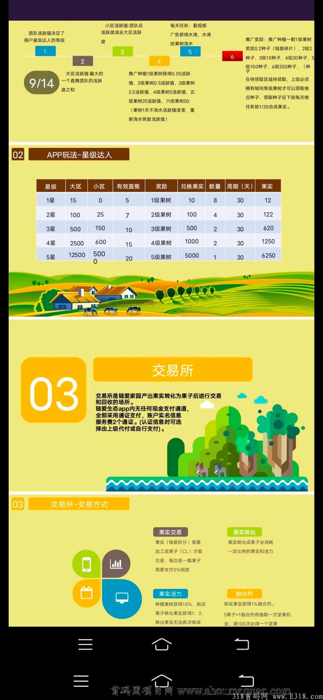 链上生态 最新首码排线码