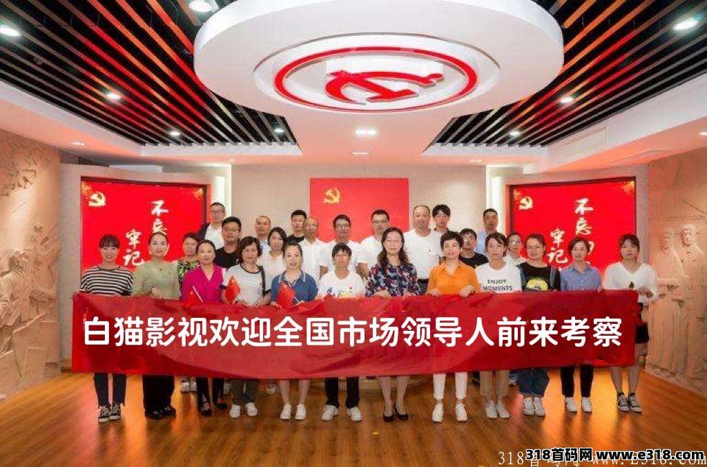 白猫影视，对接首批领导人，政策置顶