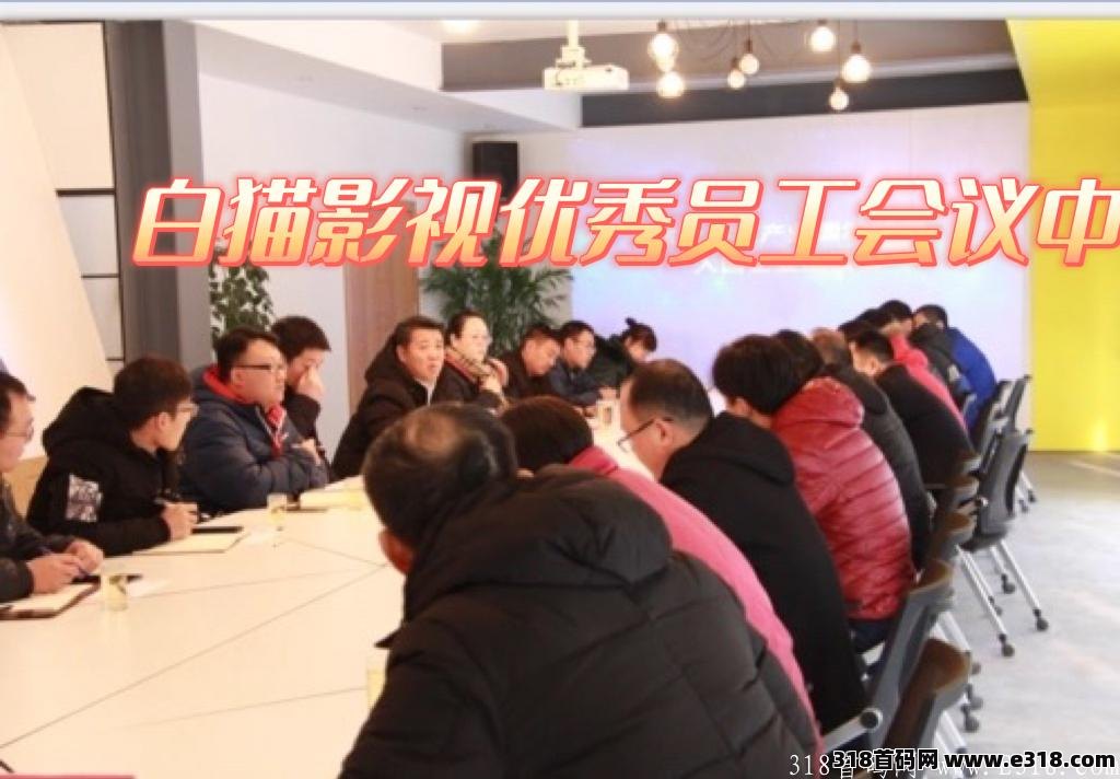 白猫影视，对接首批领导人，政策置顶