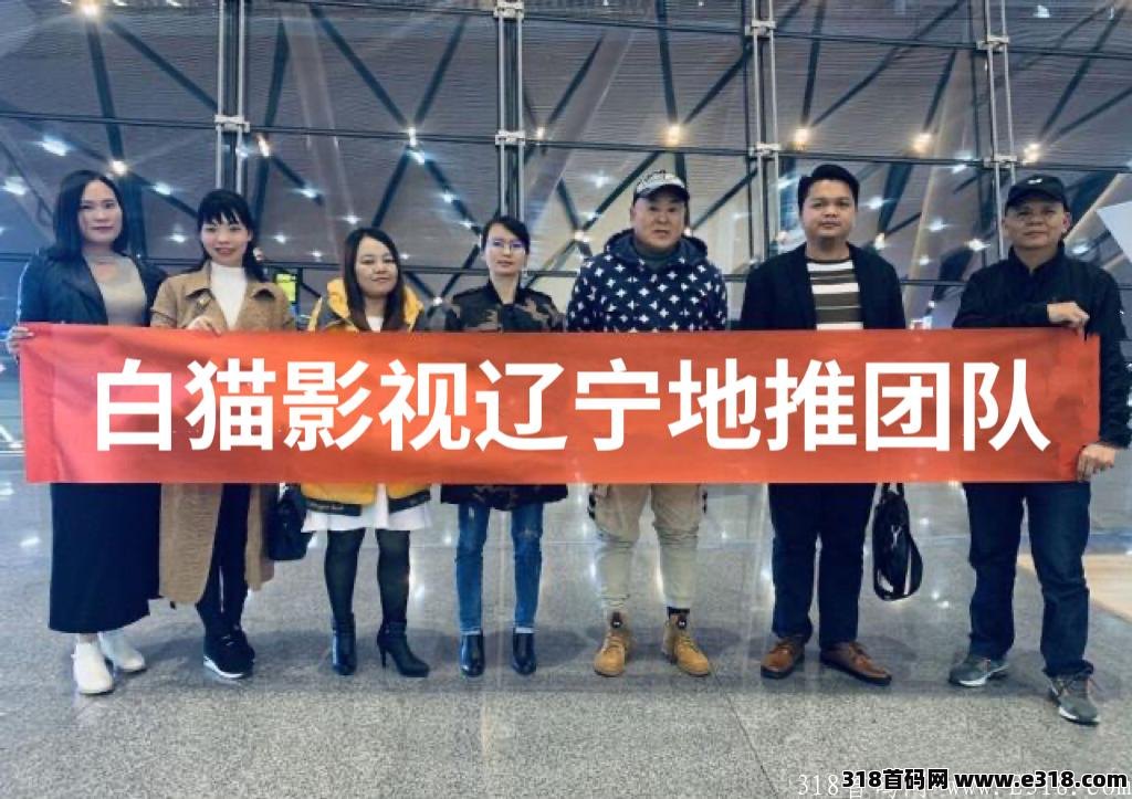 白猫影视，对接首批领导人，政策置顶