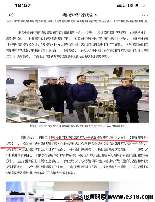 嗨购严选广告电商是做什么的？怎么赚钱?