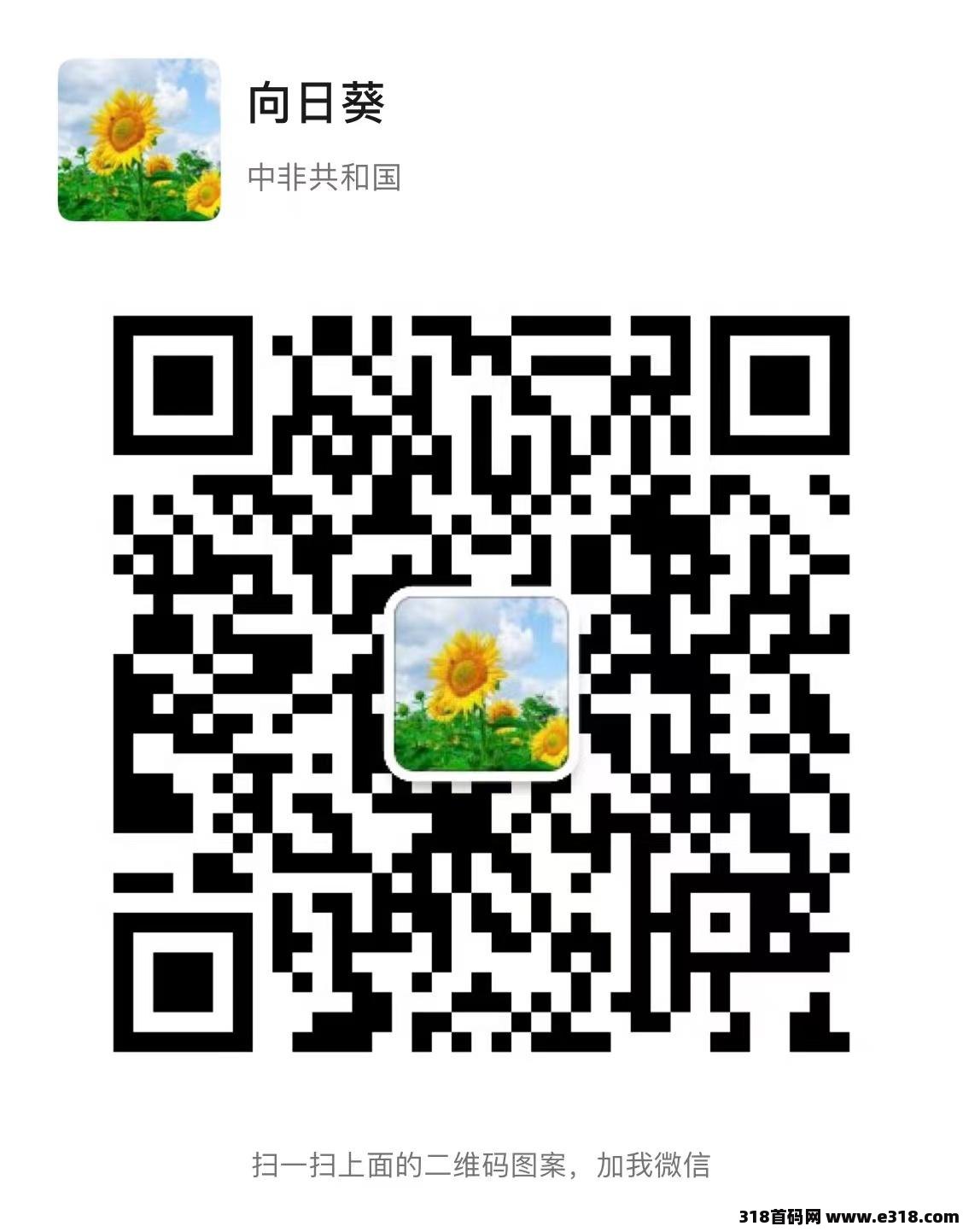 团生生 免费送团队 不推广也能赚钱