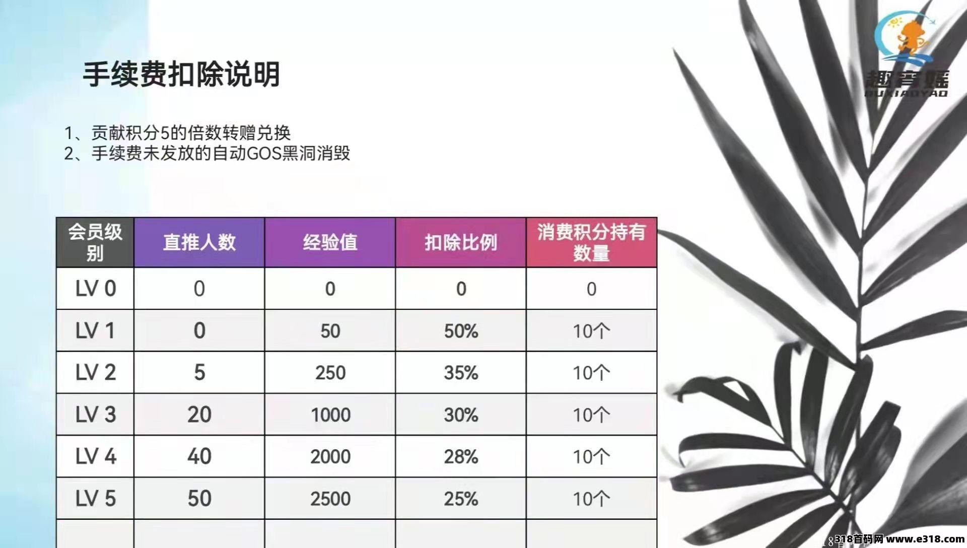 趣宵媱