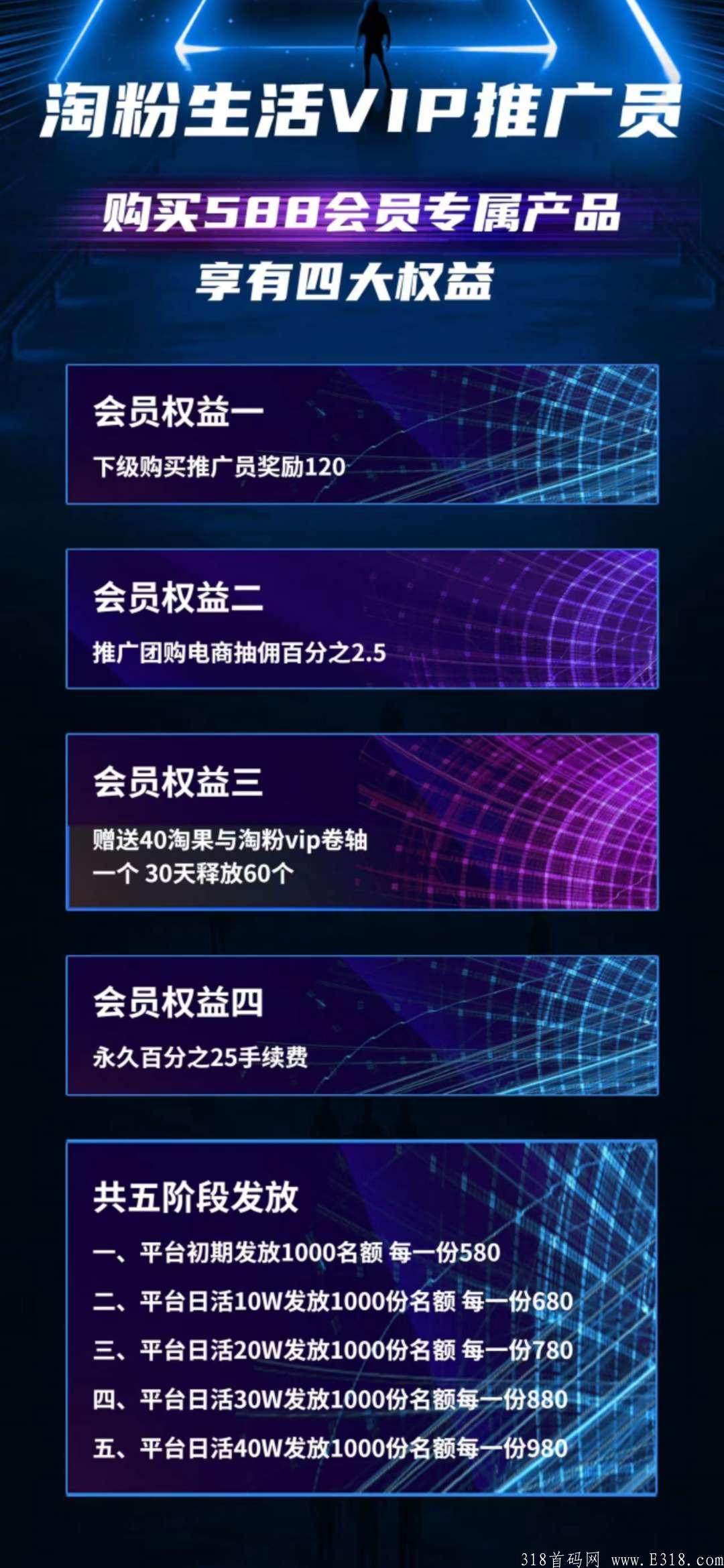 淘粉生活耀世启航，最火项目