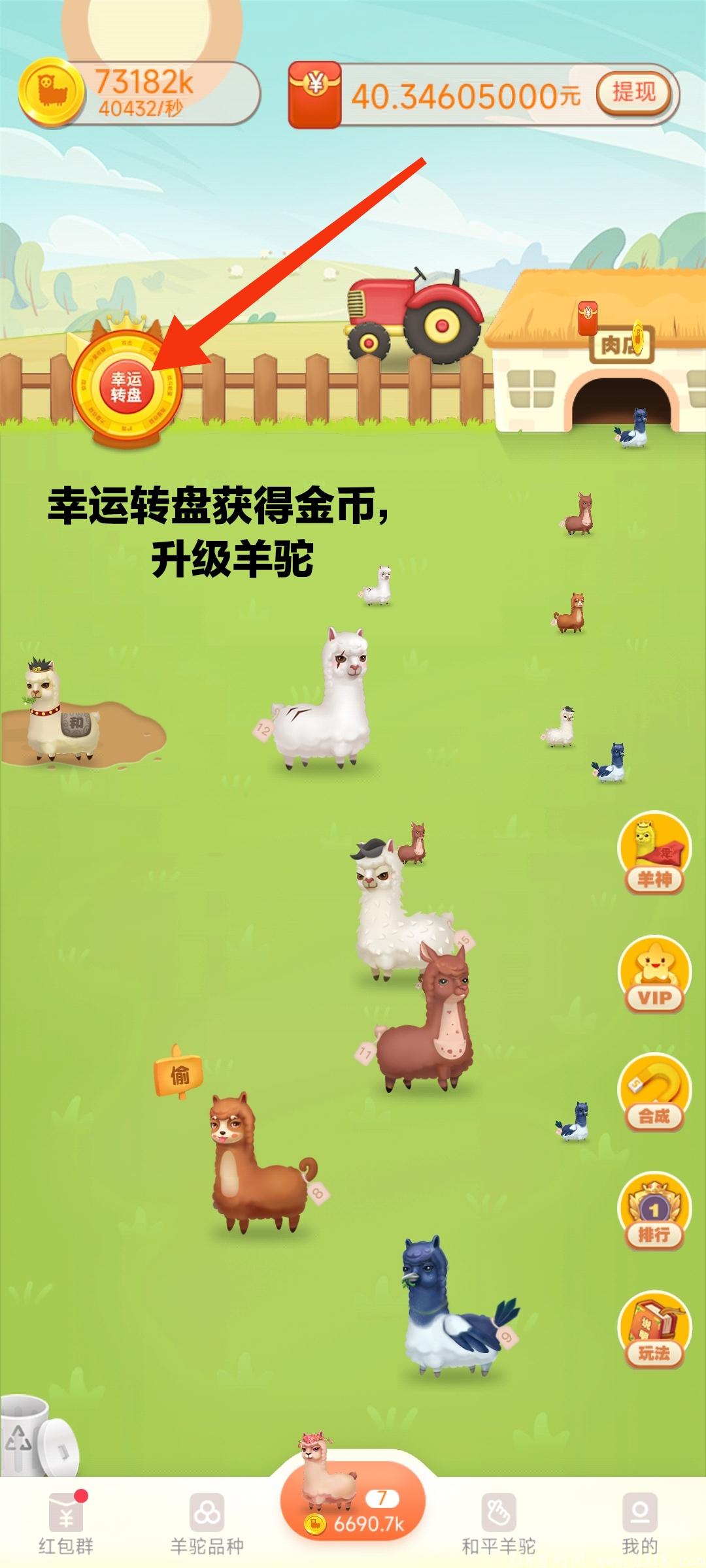 全网首发良心项目-全民养羊驼
