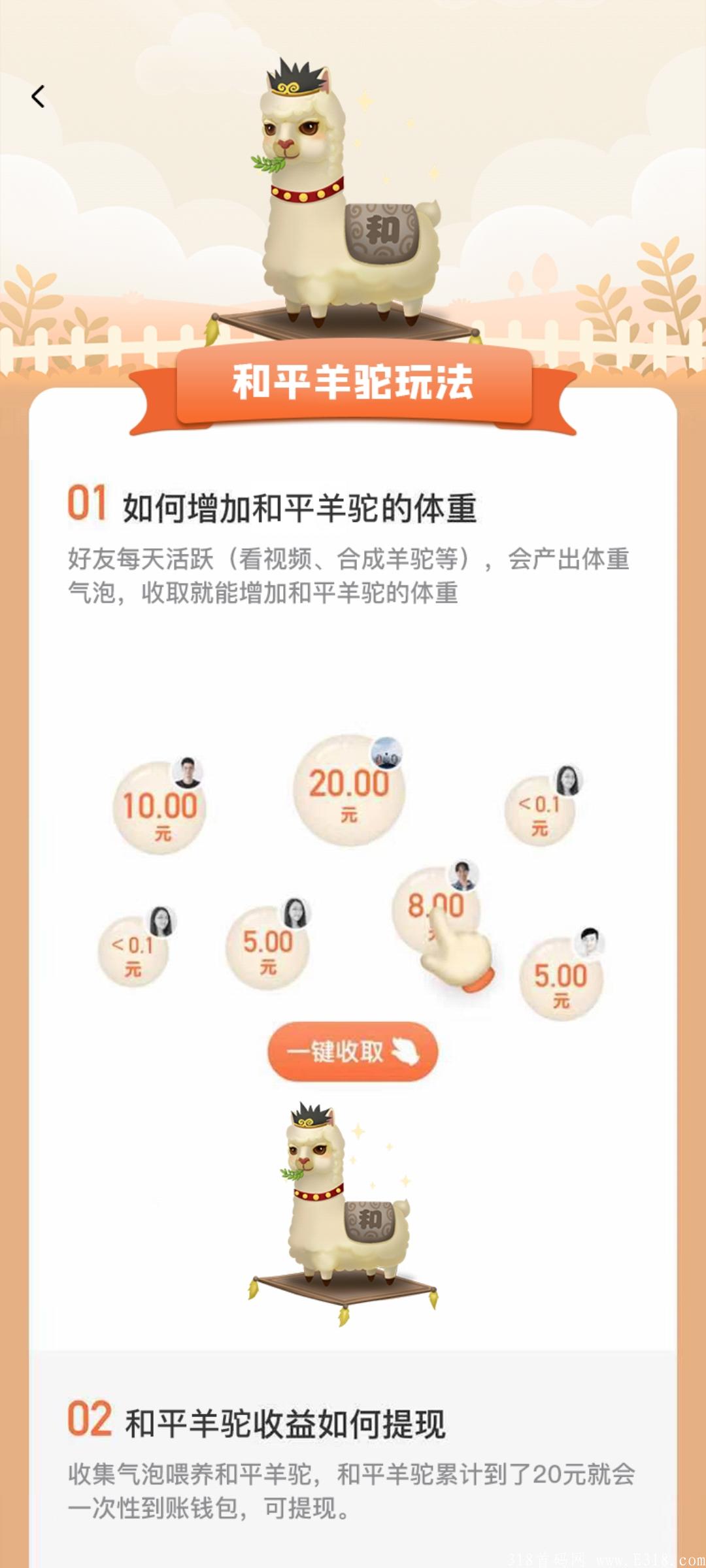全网首发良心项目-全民养羊驼