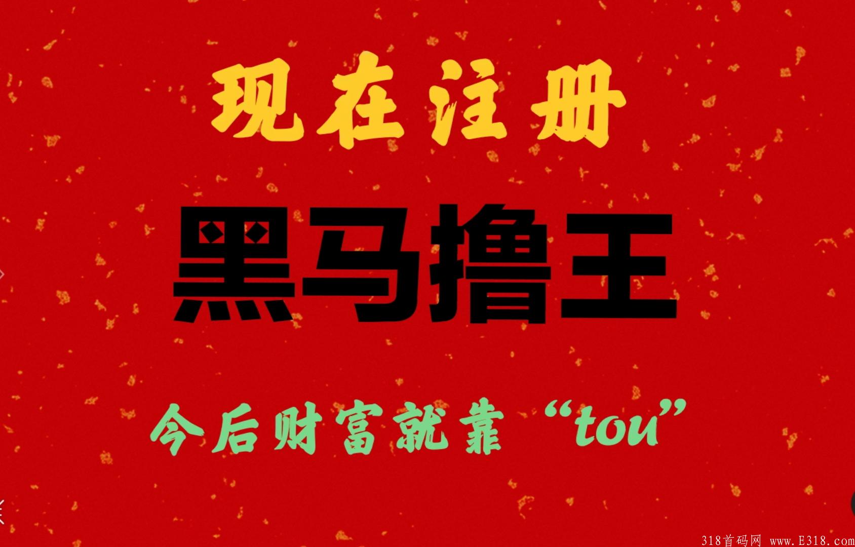 江洋大dao独创全新项目注册