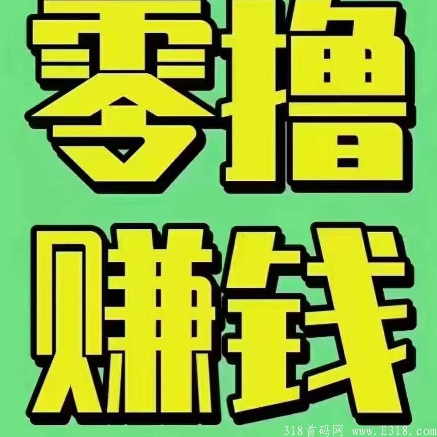 蚁丛，真正赚钱项目