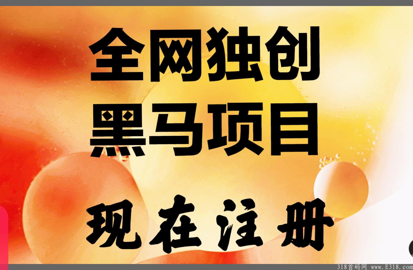 全网独创黑马项目现在注册