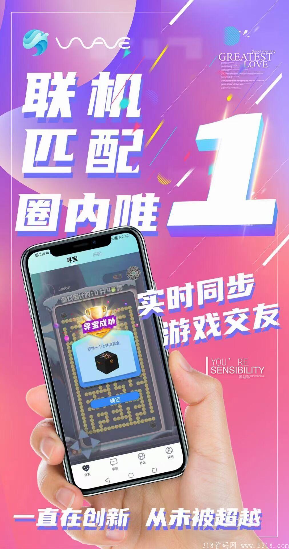 《海浪》2022一个能让你翻身的项目