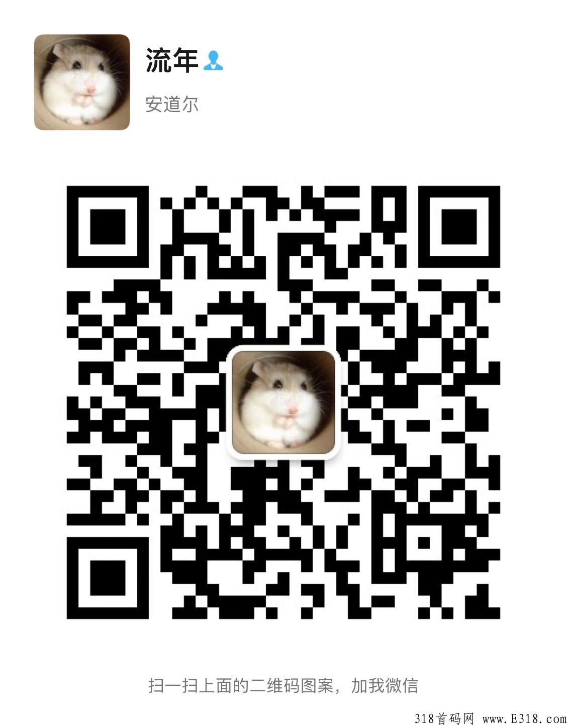 优质蓝海项目—小说网文分销平台，自看省，分享订阅賺欢迎加入