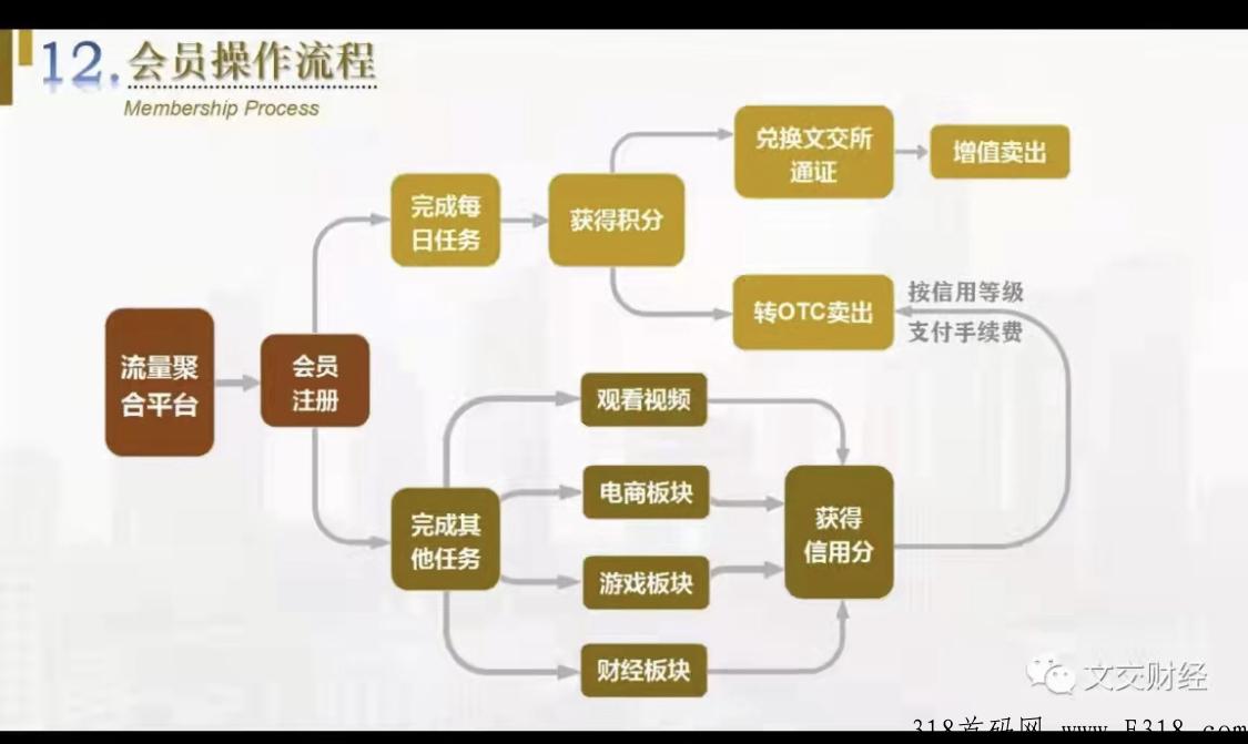 文交财经