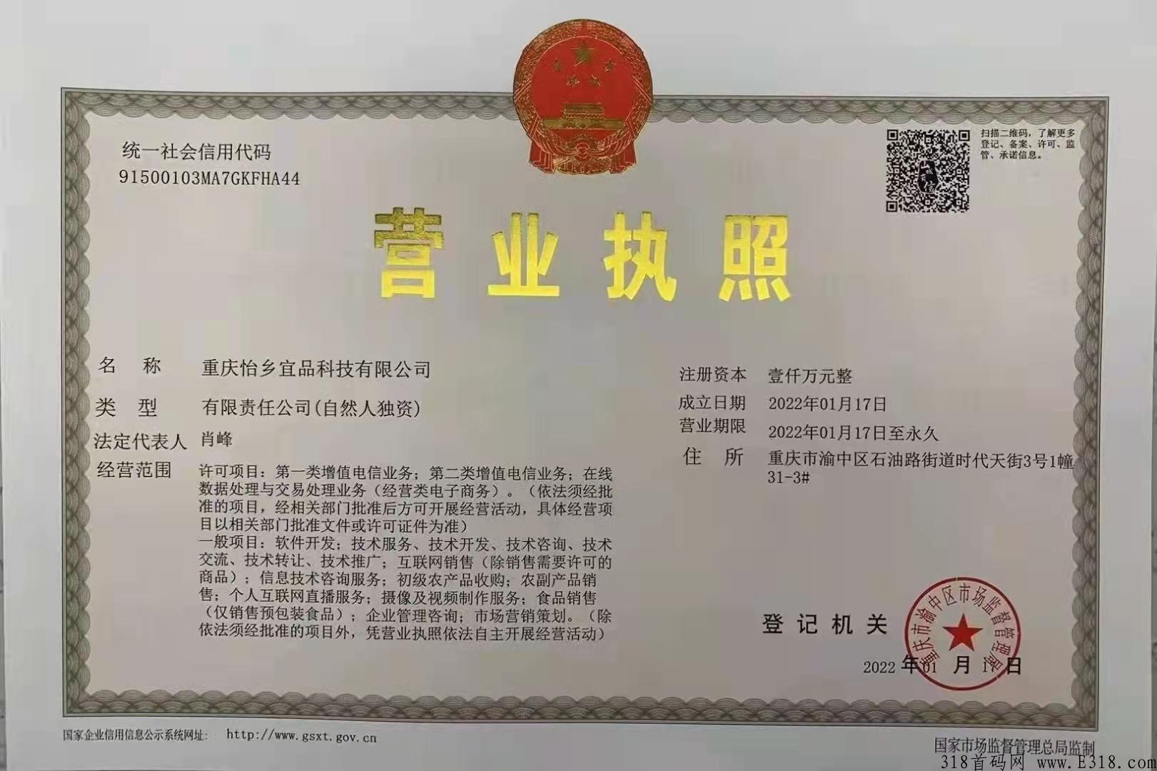 每日乡村无限代扶持3