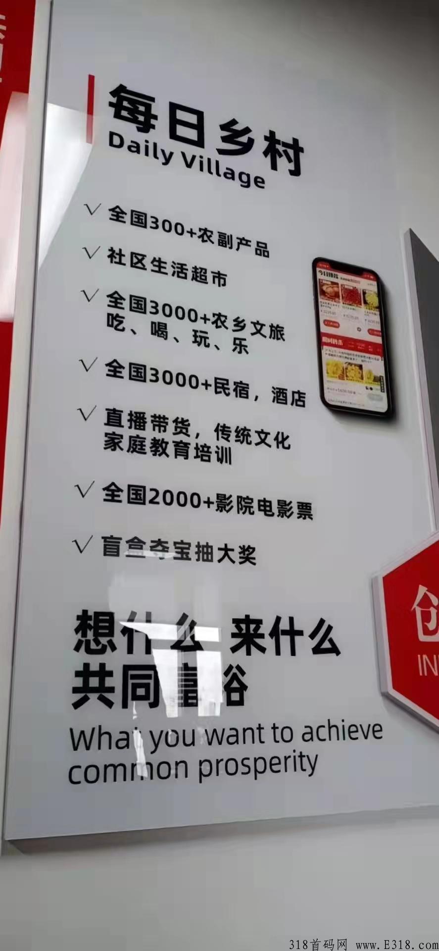 每日乡村无限代扶持3