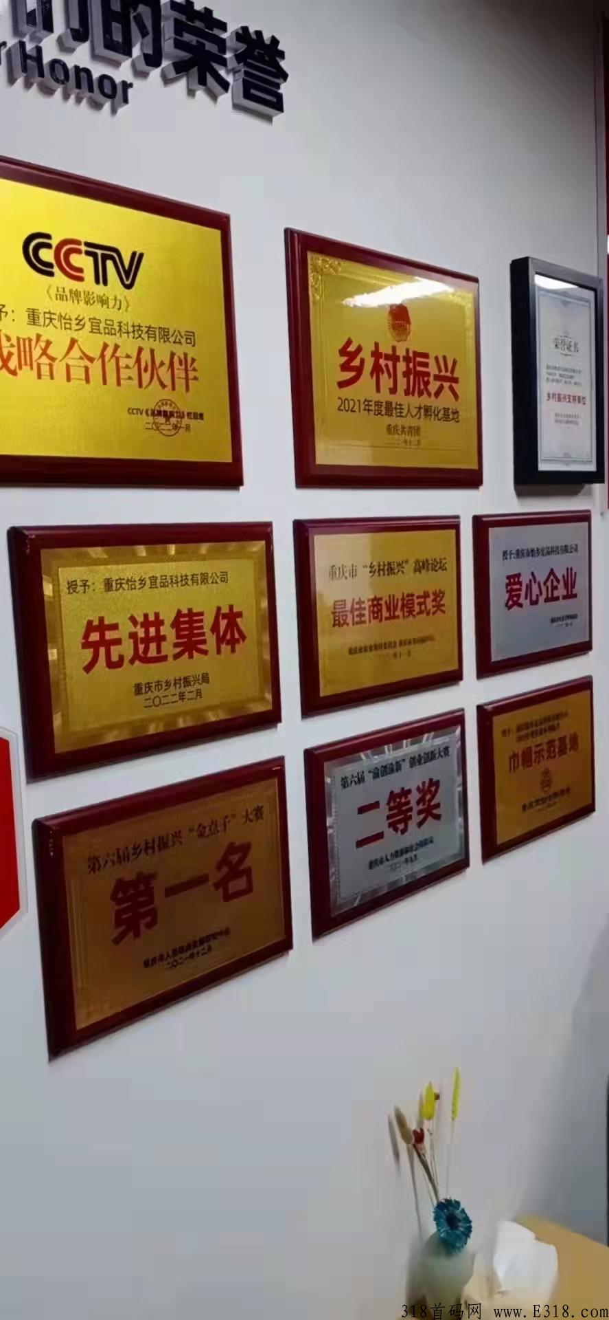 【每日乡村】内排保底三星大区！无限代3！另招募首码