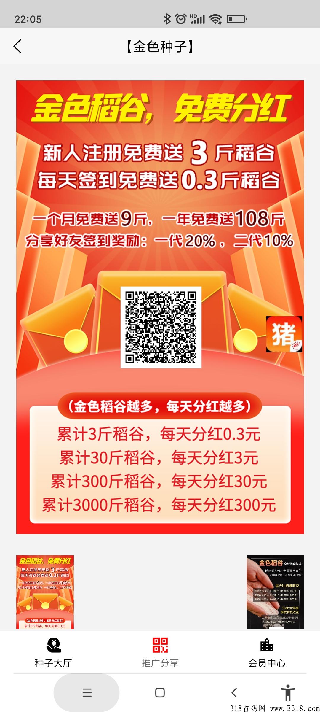 首码金色稻谷，签到送永久**。