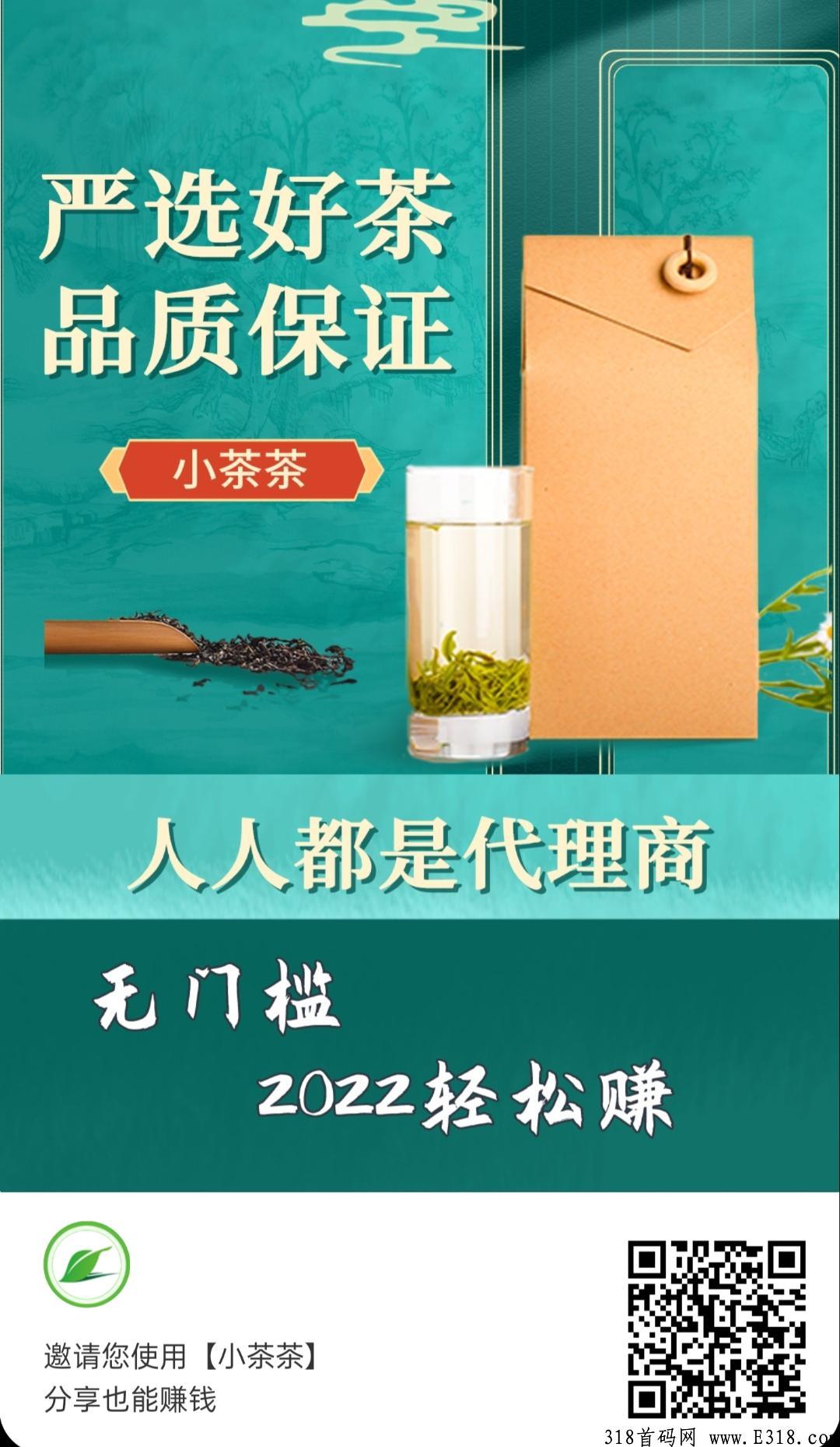 2022年新模式，小茶茶正式上市，团队裂变收益，4元开通视频会员，大力扶持