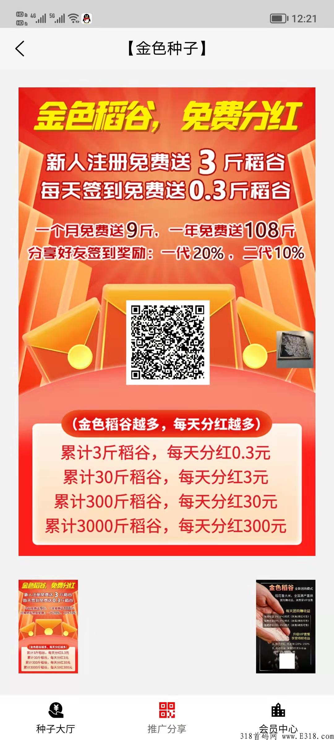 【金色稻谷】首码零撸分红刚上线
