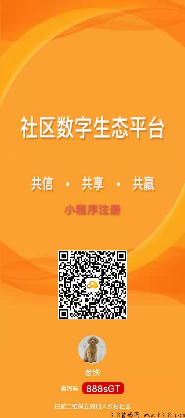 云柑社区  乡村振兴 共同富裕  零撸大毛 随时交易变现