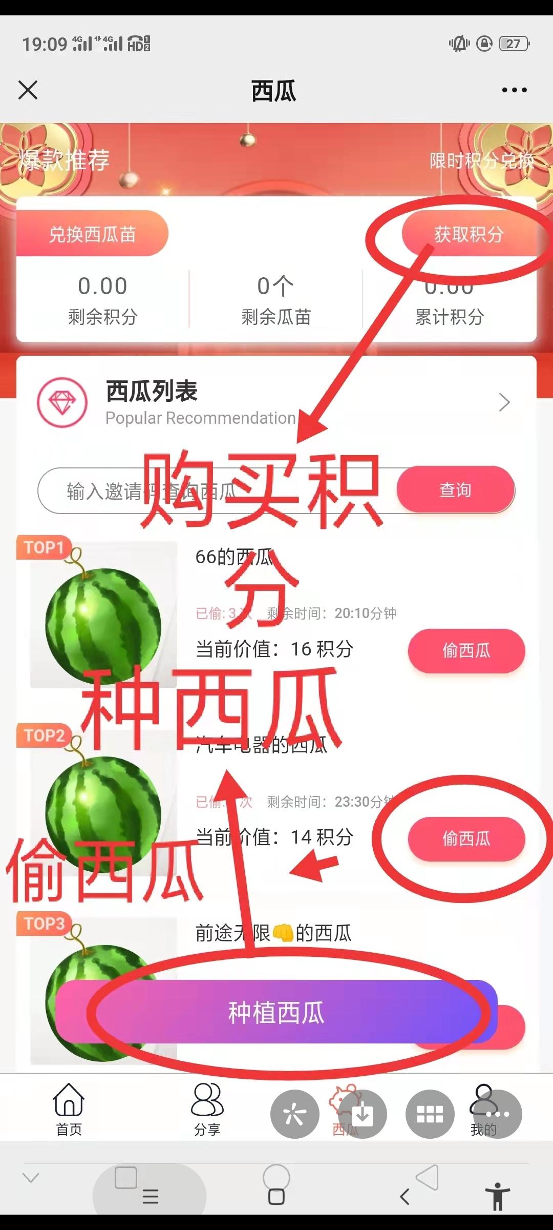 首码西瓜大作战,全新模式一夜暴富 首码西瓜大作战,全新模式一夜暴富
