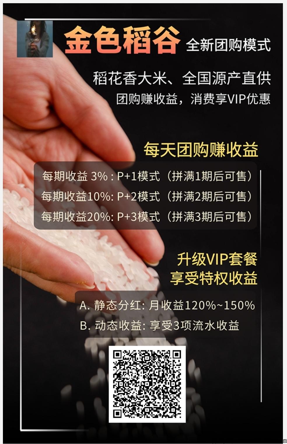 金色稻谷，新人注册送3斤稻谷