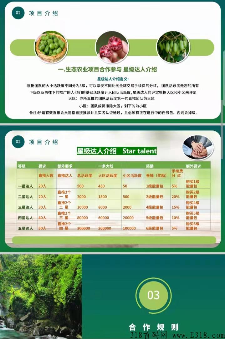 首码新卷轴荣邦农业上线，无限代扶持2，按活粉数量隔天结算