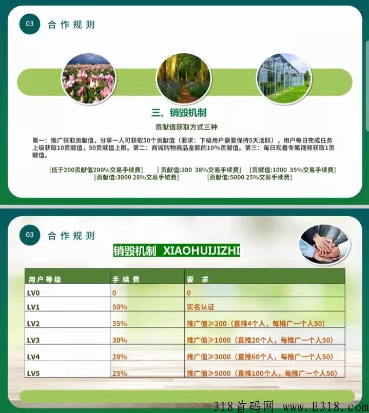 首码新卷轴荣邦农业上线，无限代扶持2，按活粉数量隔天结算