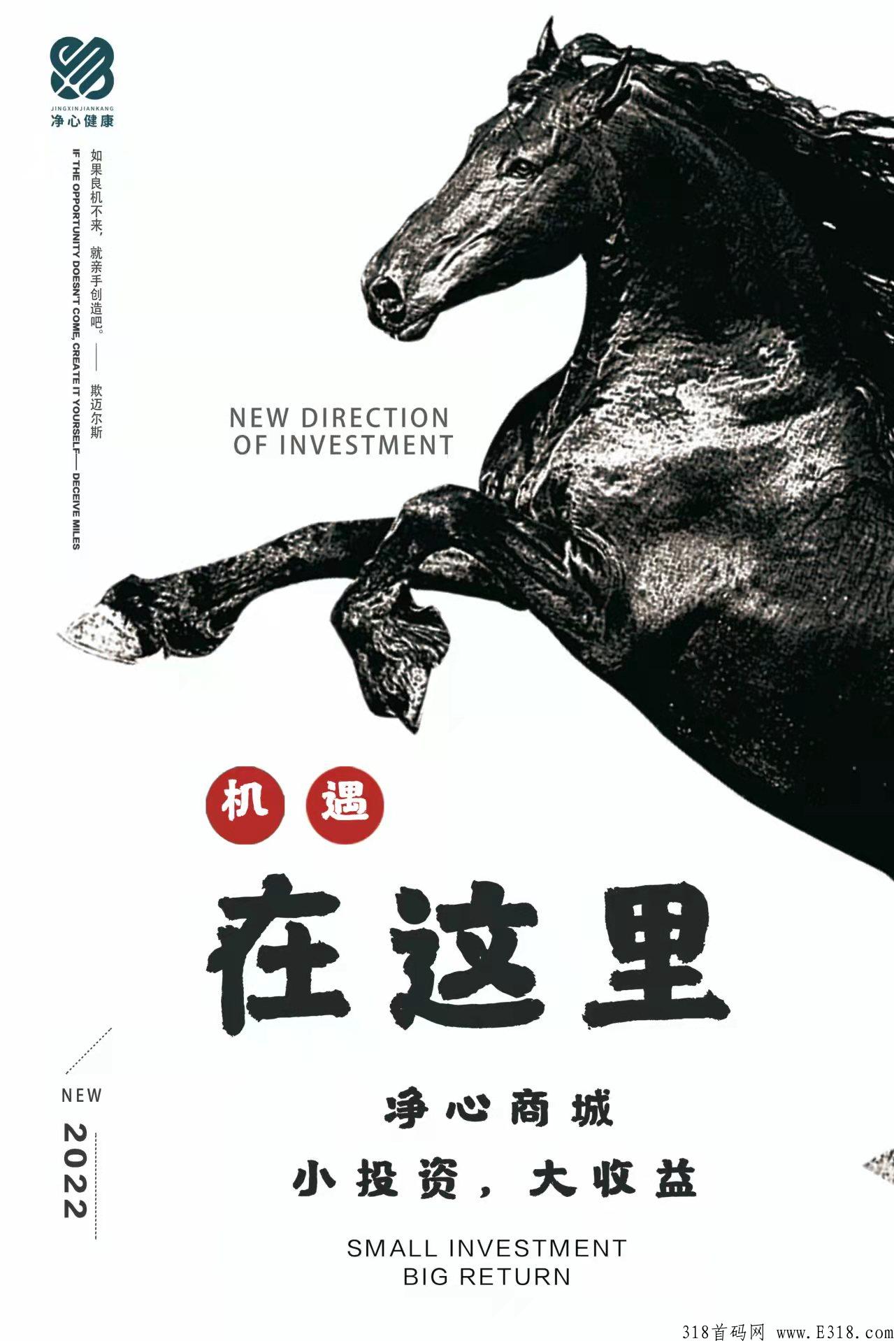 净心商城18号内测开启，购买一个商品系统按照支付时间来给你占位