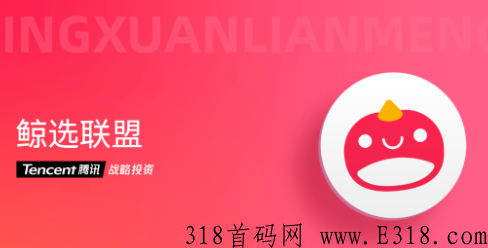 鲸选联盟