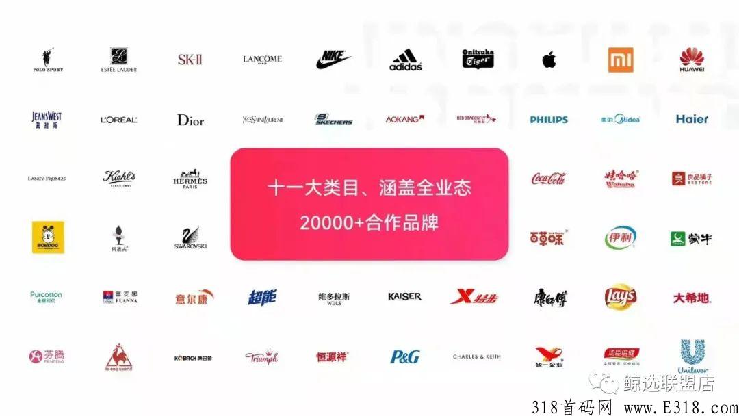 鲸选联盟是什么？鲸选联盟适合大学生做吗？
