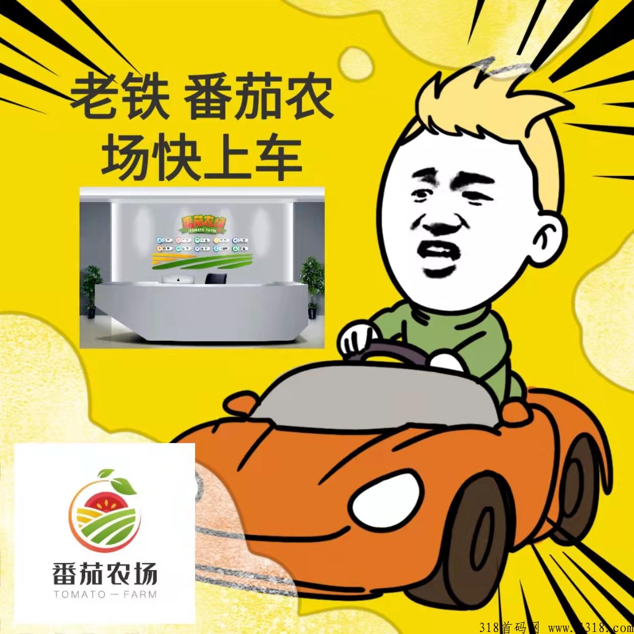 番茄农场app最高对接，购物省钱，推广还能赚取佣金