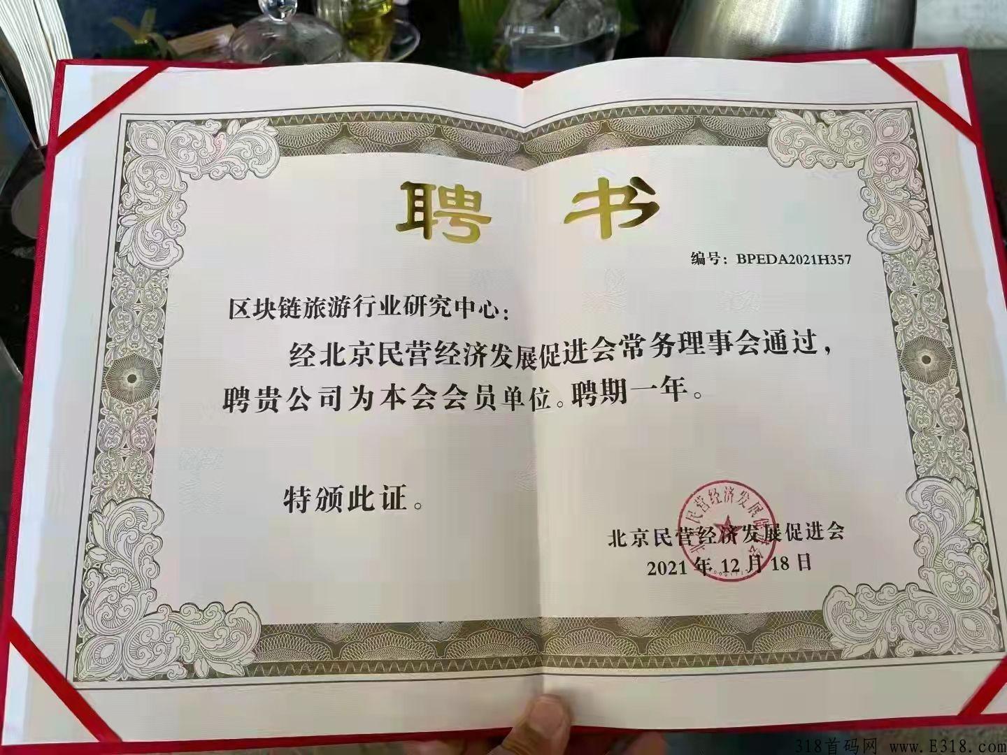旅游联盟链大区排线，全程包带，无数资源，供大家学习，欢迎大家加入