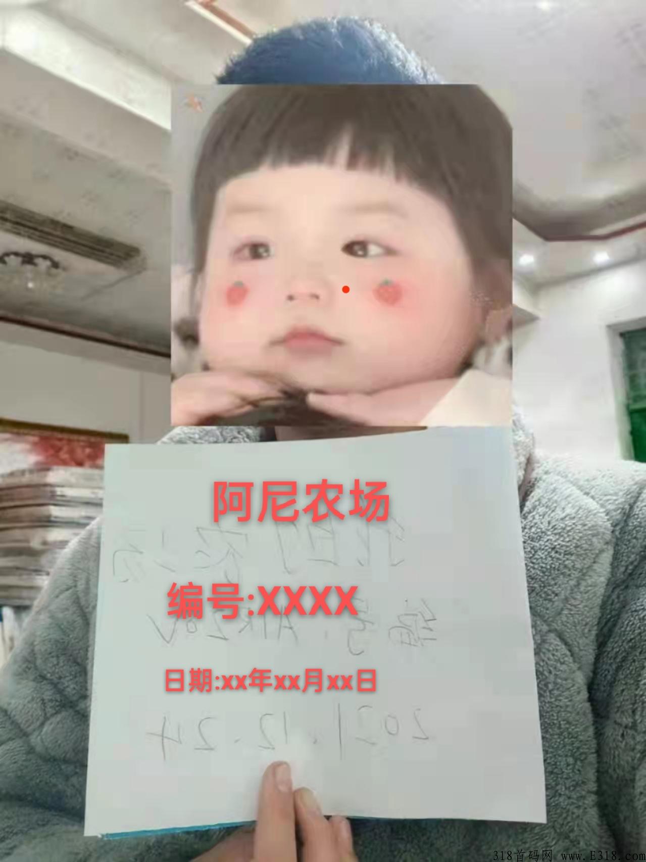 阿尼农场赚钱正规平台，不用看广告，不用签到，点对点交易，打发时间小游戏