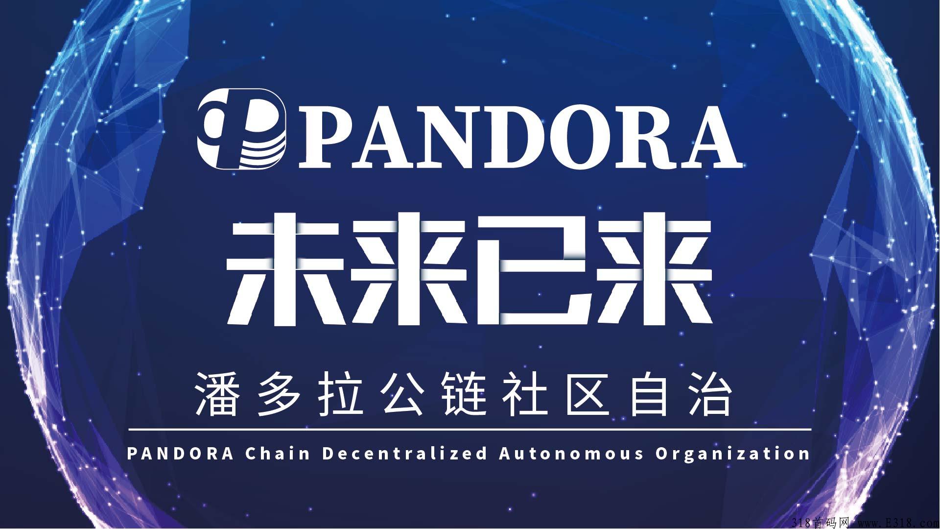 潘多拉公链全网网体公排模式