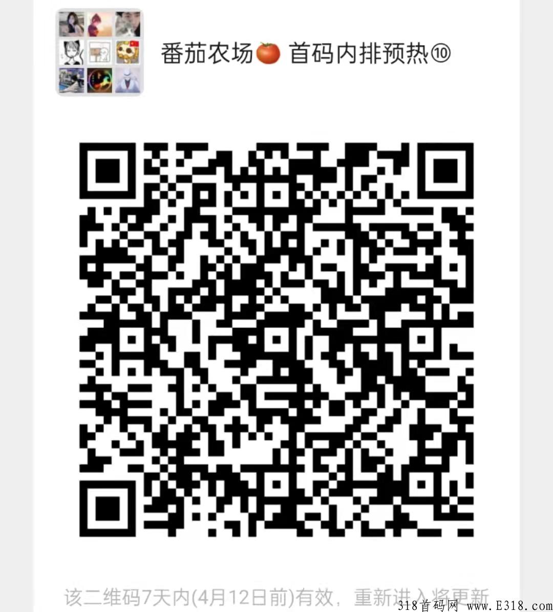 2022番茄农场首码总对接+市场部内排+无限代扶持