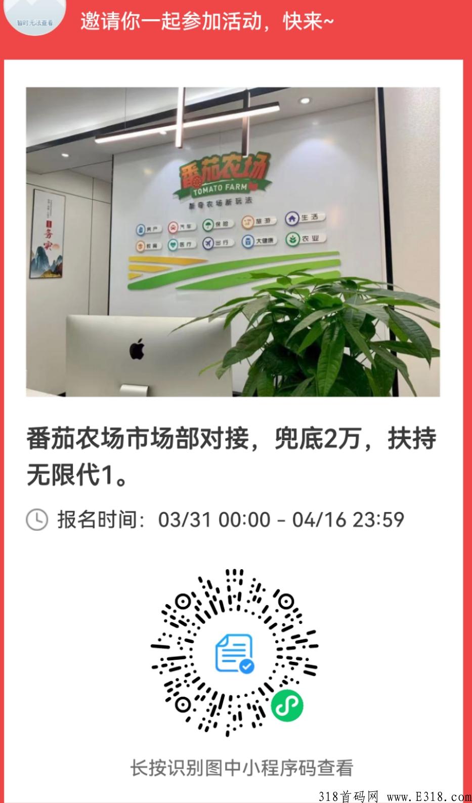 番茄农场首码排线，兜底2万+无限代1，团队长火爆对接
