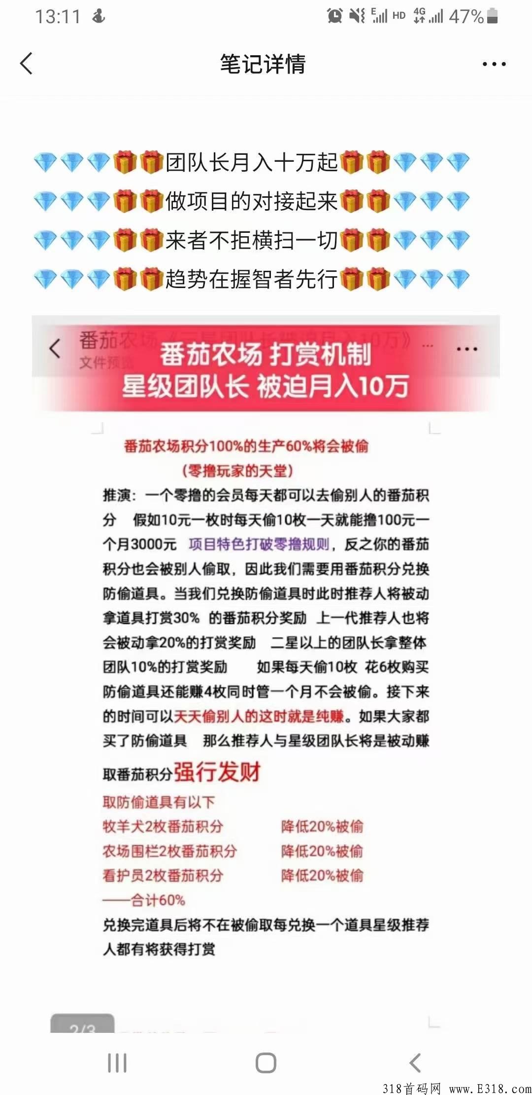 番茄农场上线倒计时1天，排线给奖励