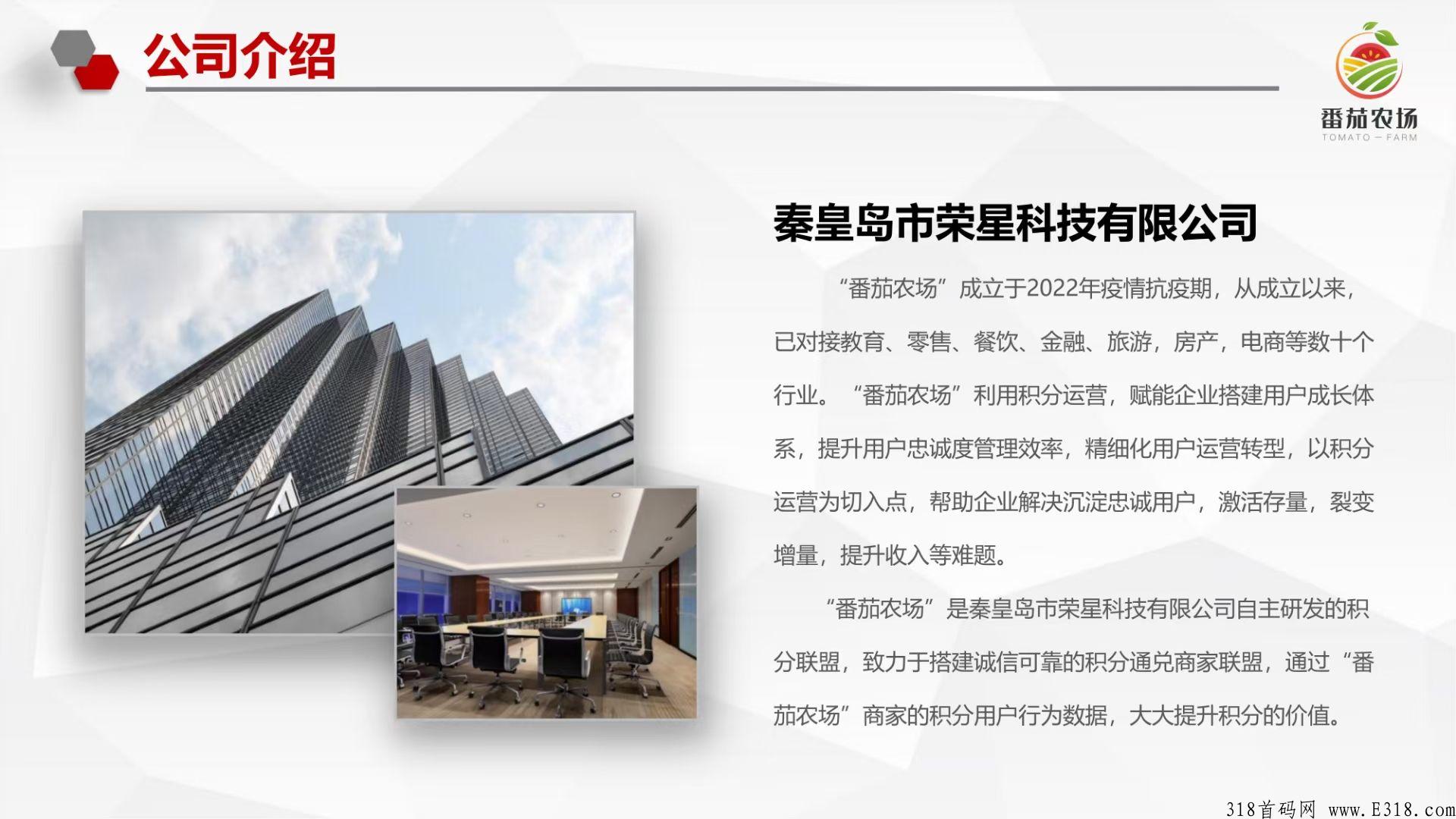 番茄农场火爆来袭？快上车吃肉吧
