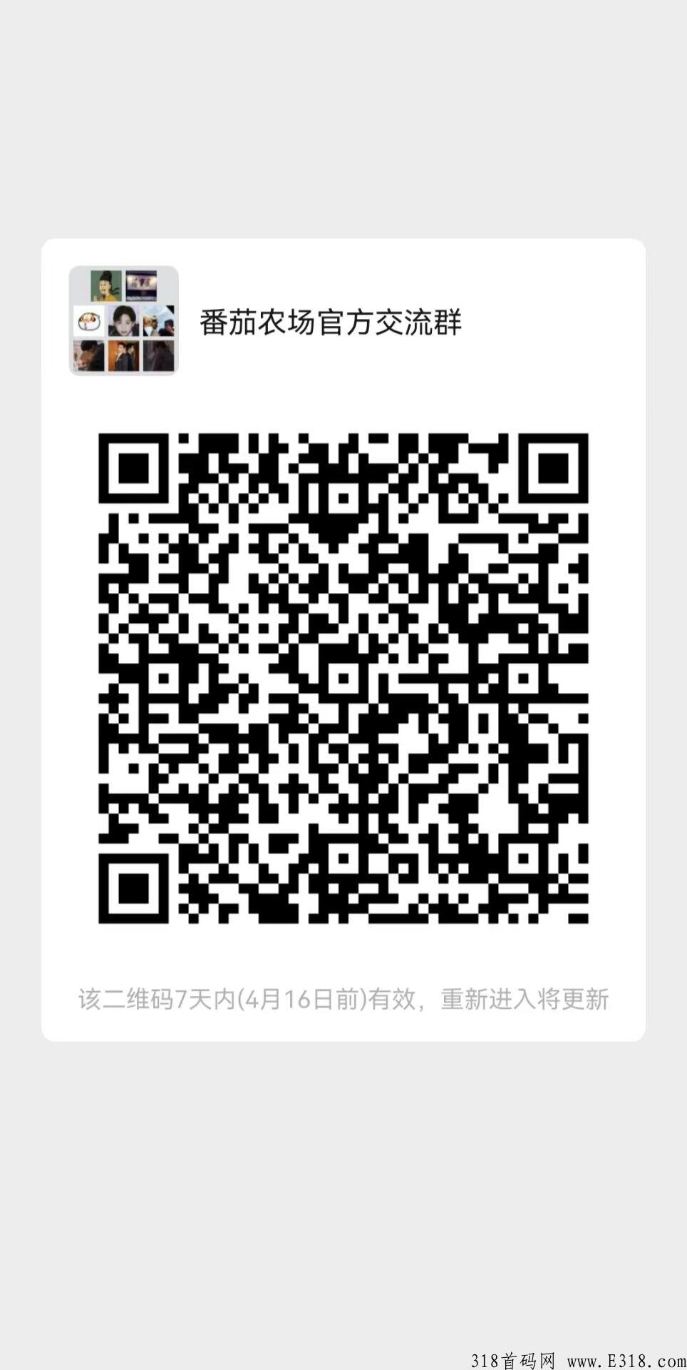 番茄农场首码刚上线，先下载再注册速度撸起来