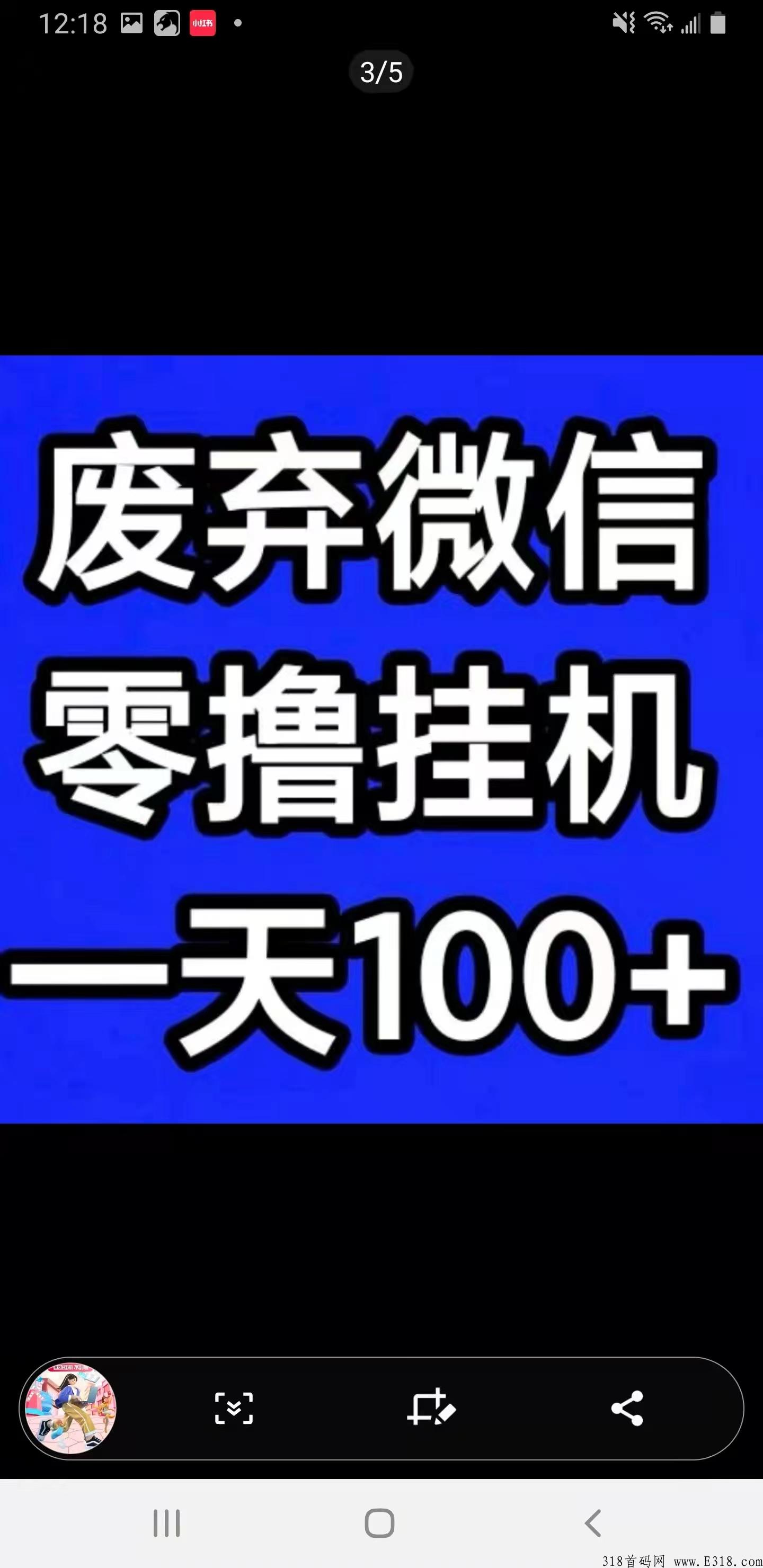 最新首码飞猪，别再错过，全网待遇最高