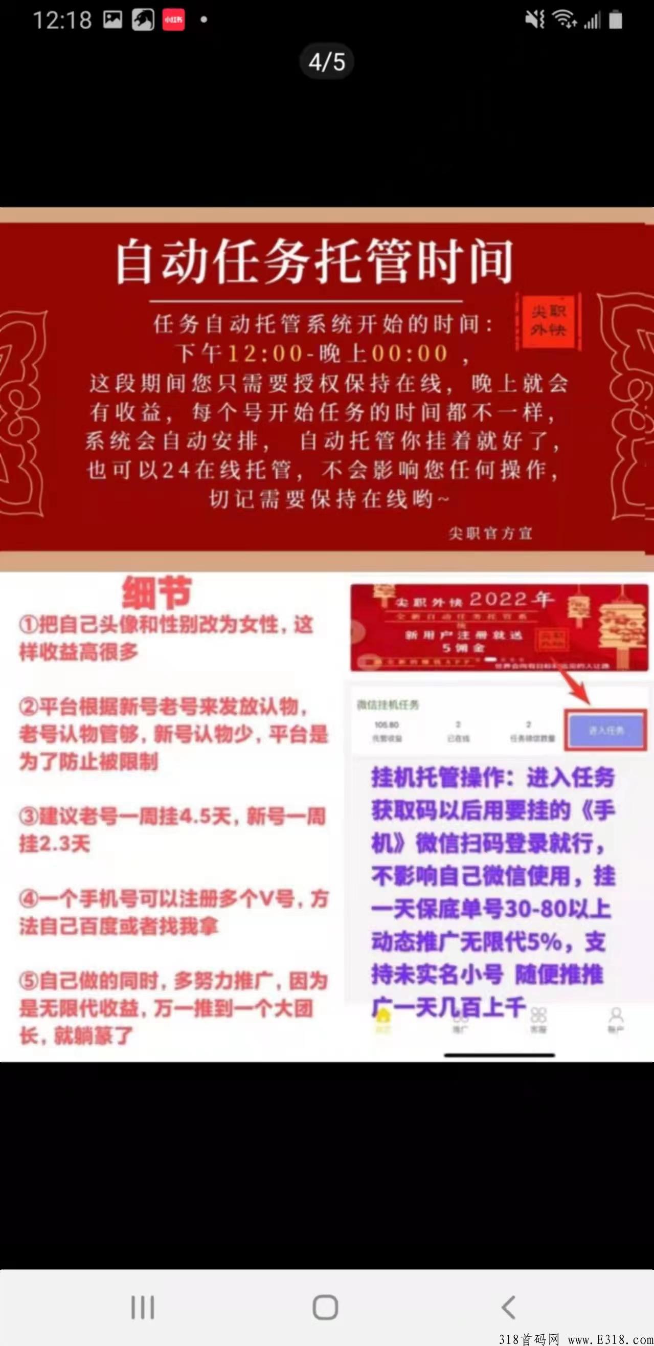 最新首码飞猪，别再错过，全网待遇最高