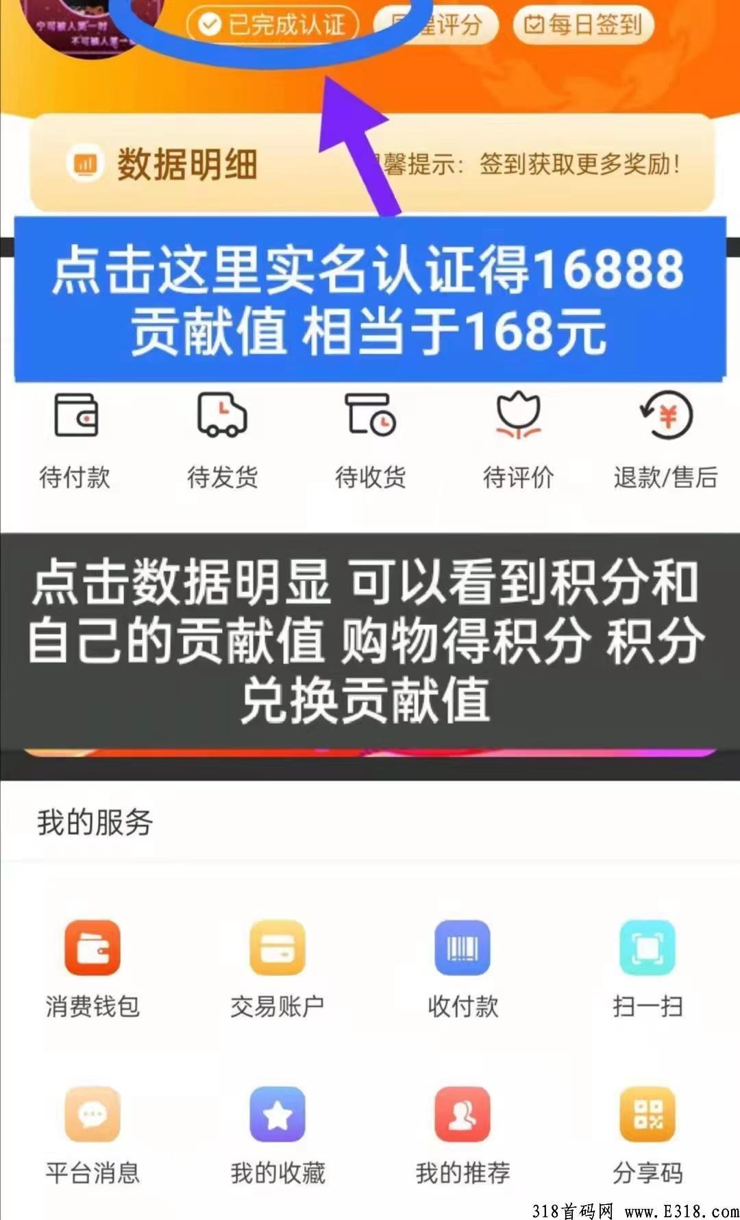 君凤煌app电话费水费电费免费交，全部返还