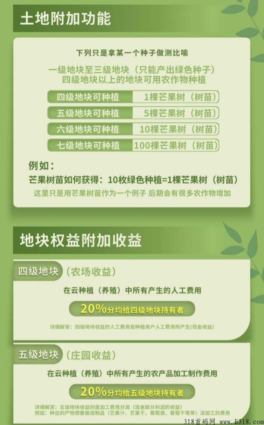 《宇宙农场》火爆预热中，推动农业发展，助力乡村振兴
