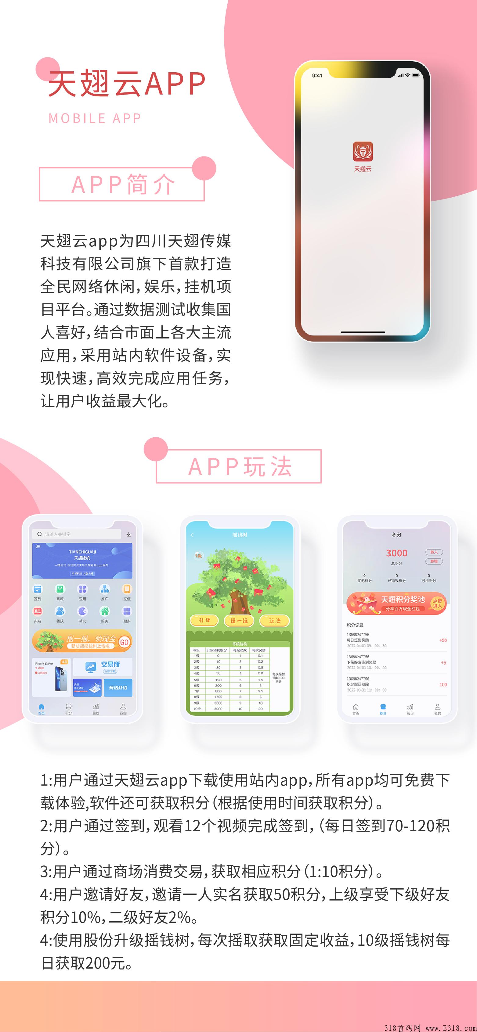 天翅云，一款能赚钱的应用商城项目