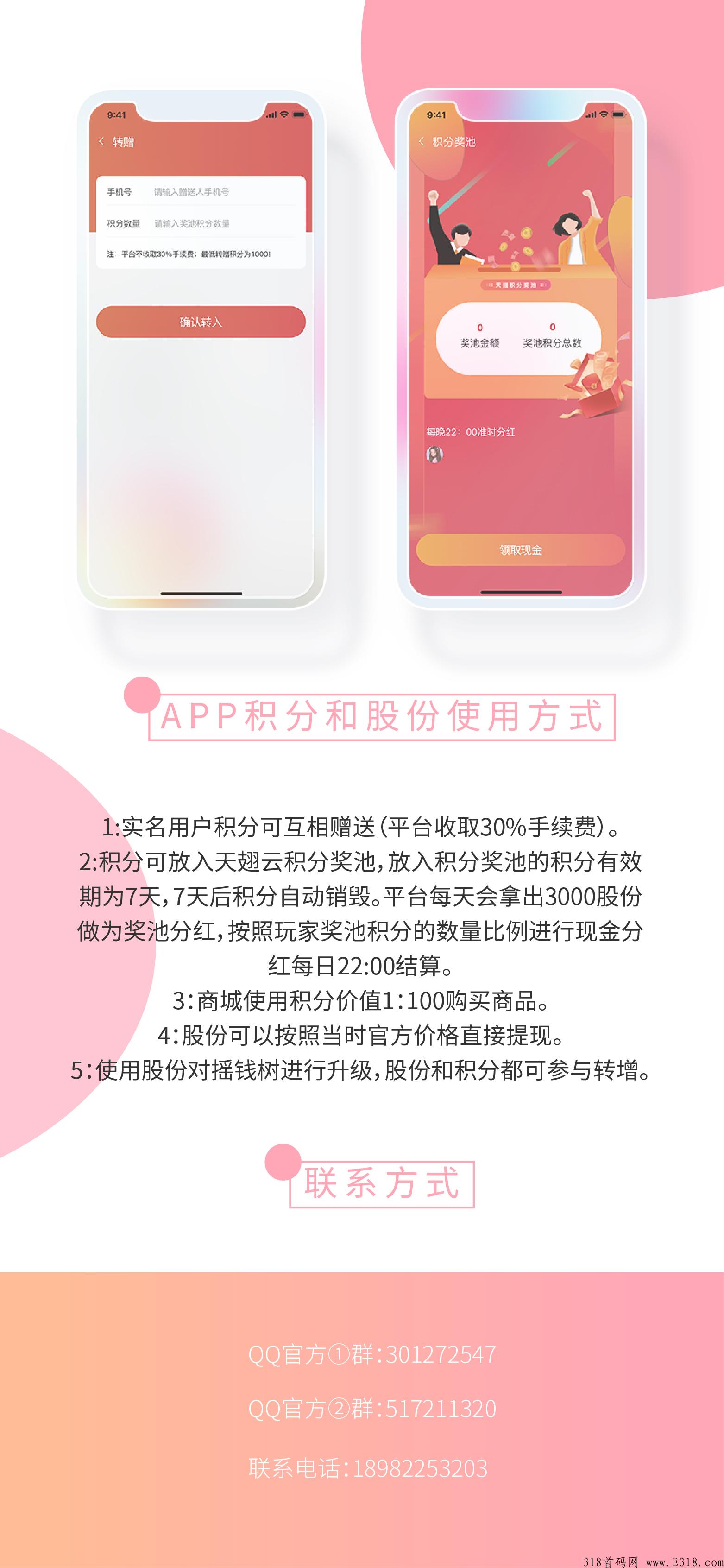 天翅云，一款能赚钱的应用商城项目