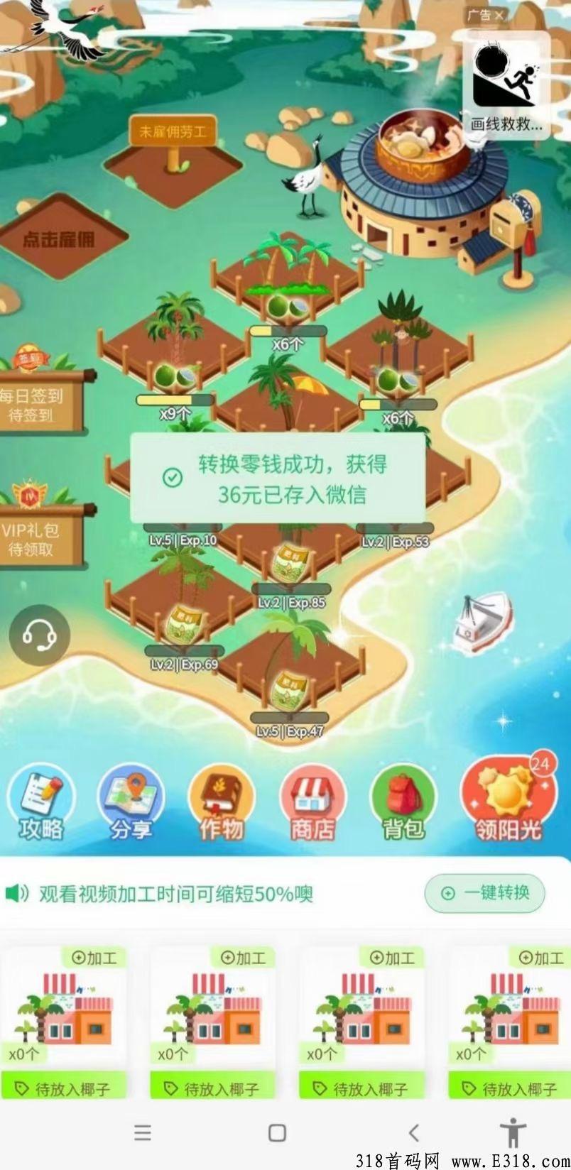 火神椰子，首码小程序无套路