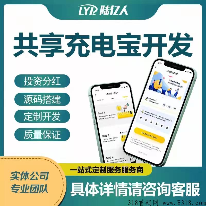 陆亿人网络科技，开发各种项目软件系统，仿盘搭建，10年开发经验