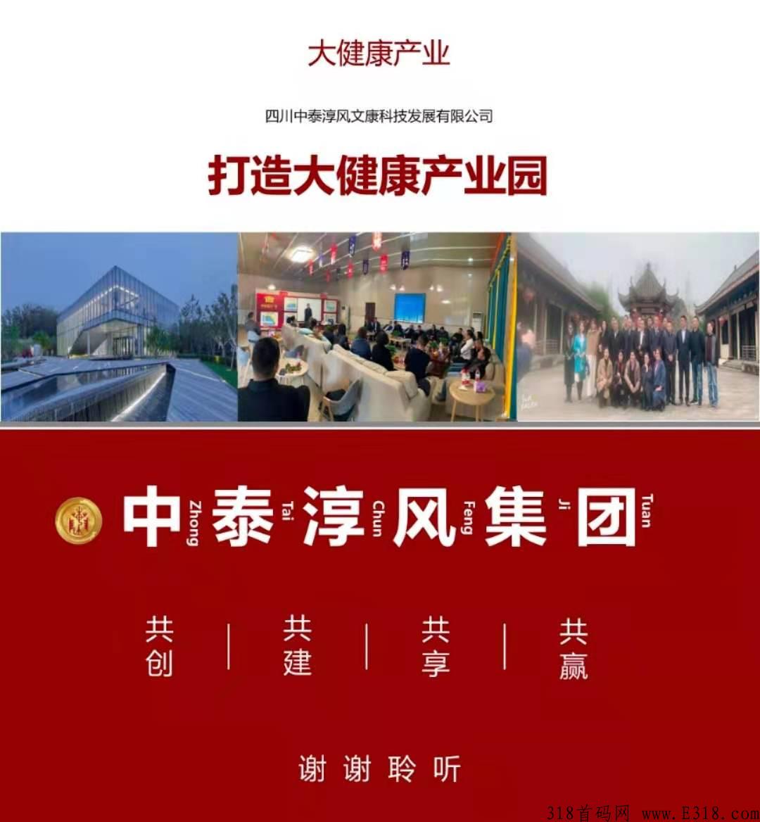 中泰淳风上市公司托底，IM无界商城，可以玩长期的事业