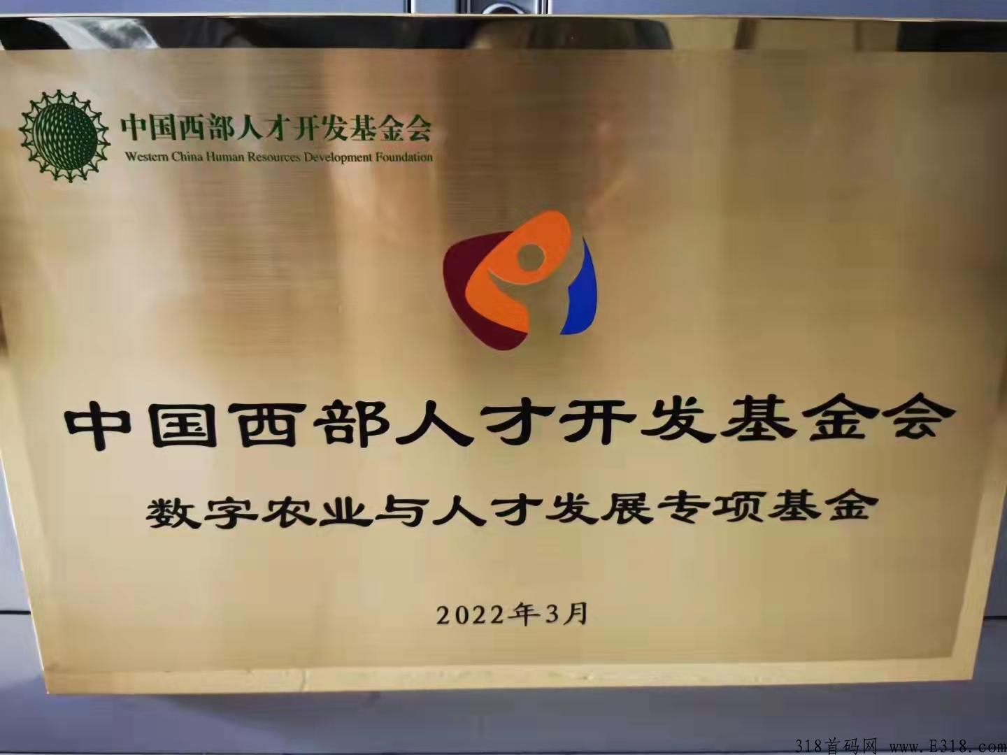 上市公司长期稳定项目，中宏庞博集团